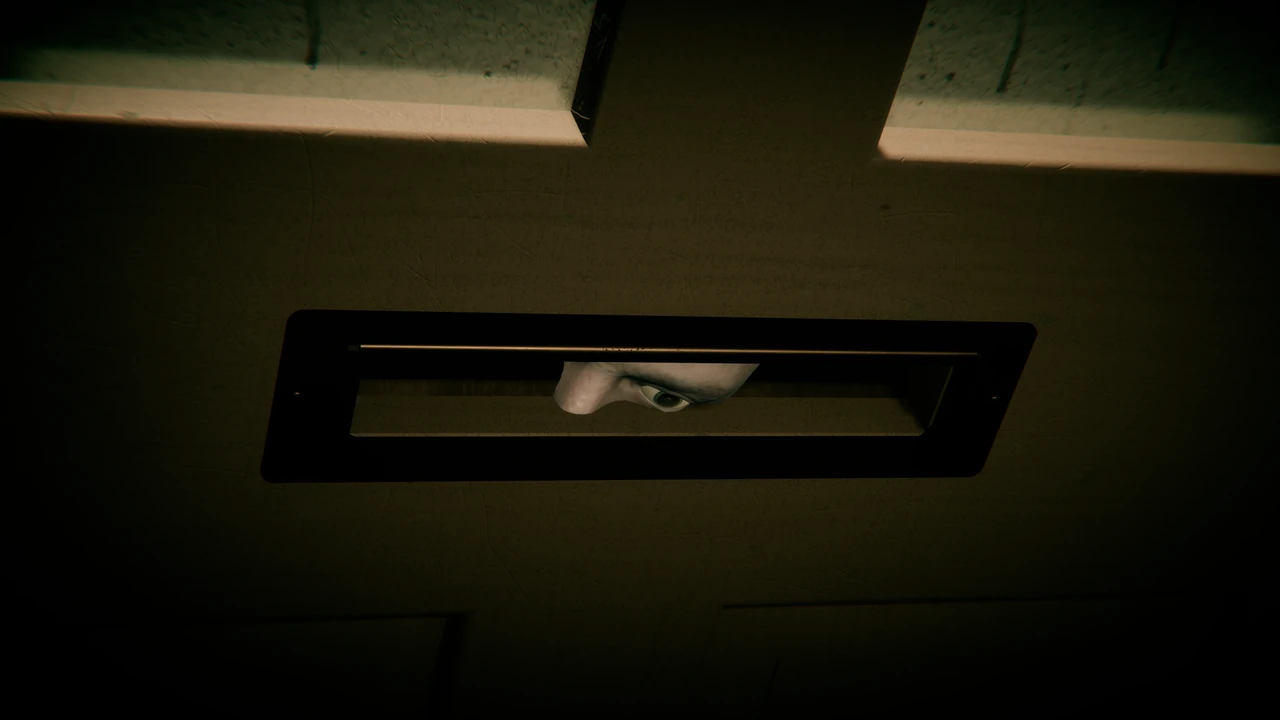 Through the brass-framed letter slot of a front door, an eye looks in.